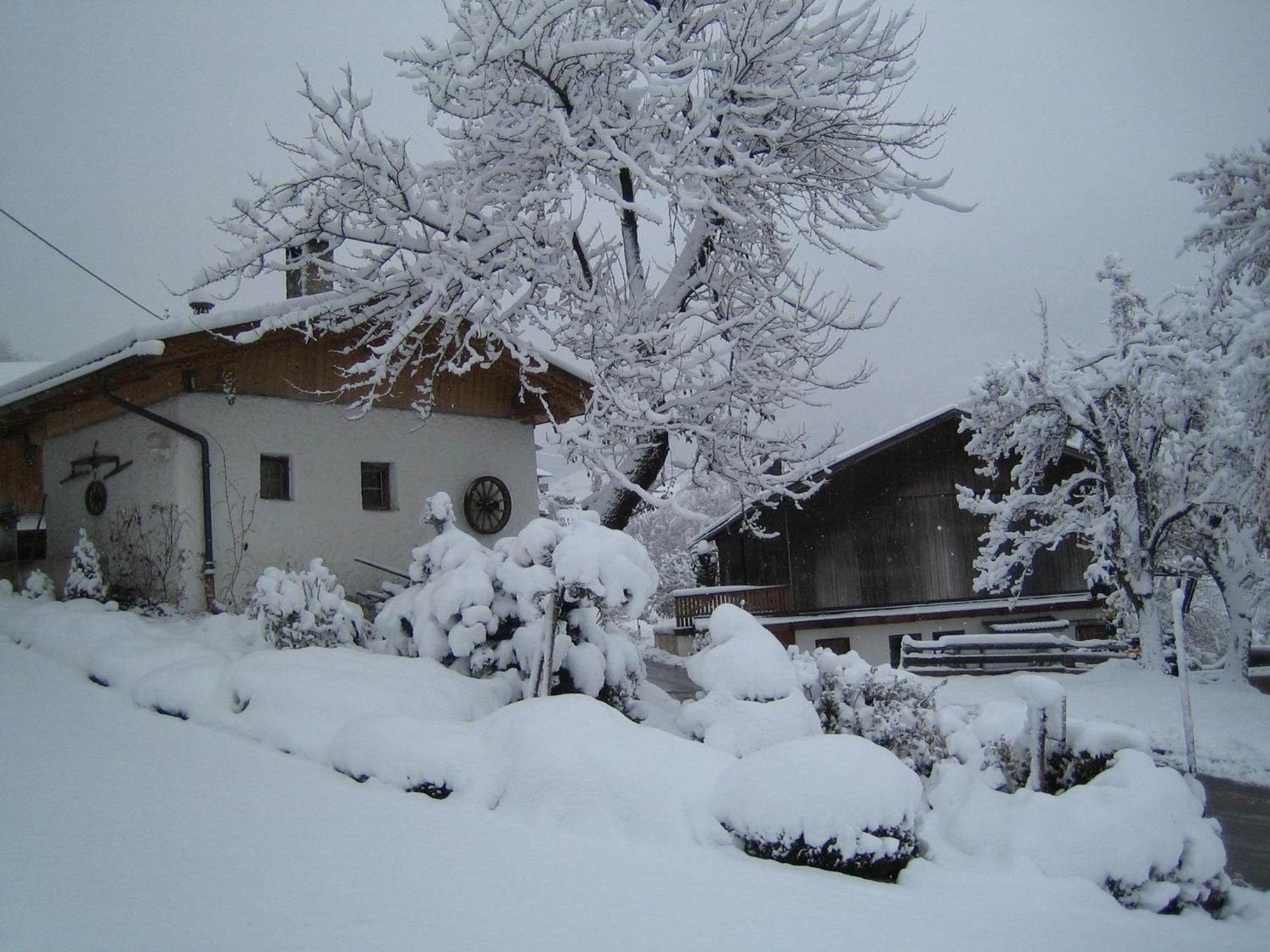 צל אם צילר Haus Kammerland מראה חיצוני תמונה